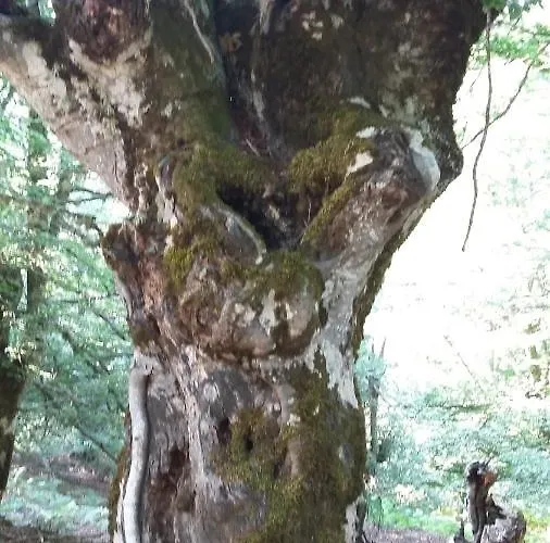 Casa de Férias The Fountains House *